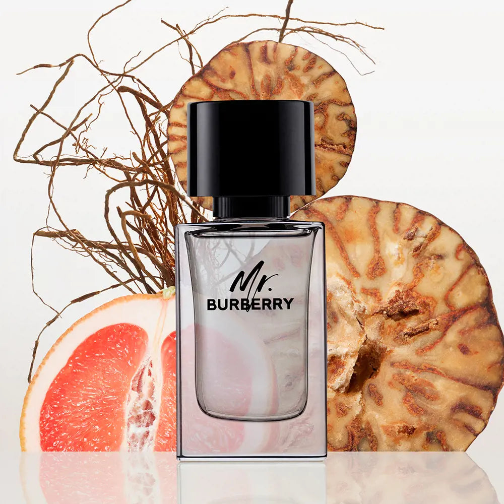 Burberry Body For Women Eau de Toilette (100 ml)