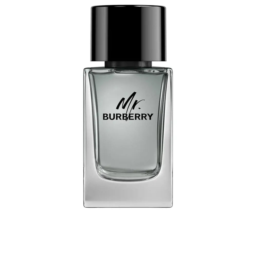 Burberry Body For Women Eau de Toilette (100 ml)