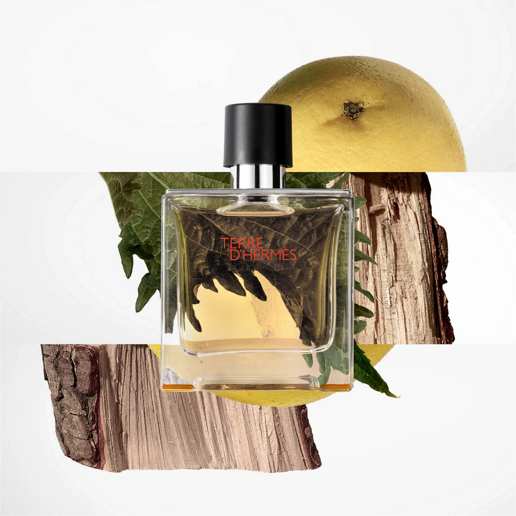 Hermès Terre d'Hermès Eau de Toilette (100ml)