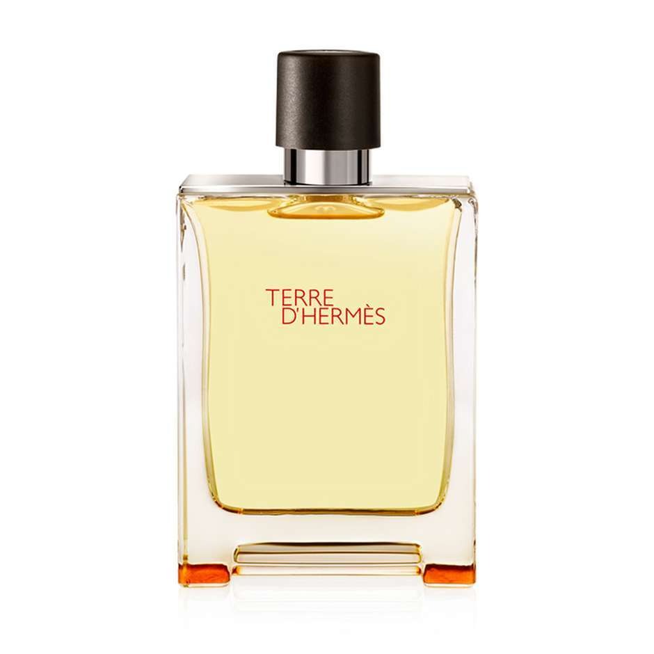 Hermès Terre d'Hermès Eau de Toilette (100ml)