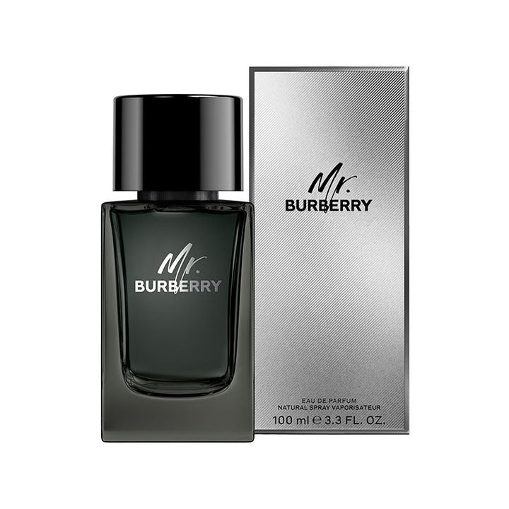 Burberry Mr. Burberry Eau de Perfume for Men (100ml)