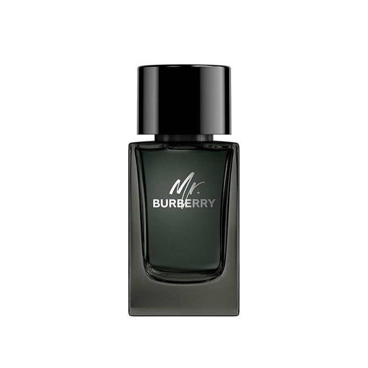 Burberry Mr. Burberry Eau de Perfume for Men (100ml)