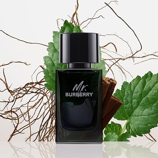 Burberry Mr. Burberry Eau de Perfume for Men (100ml)