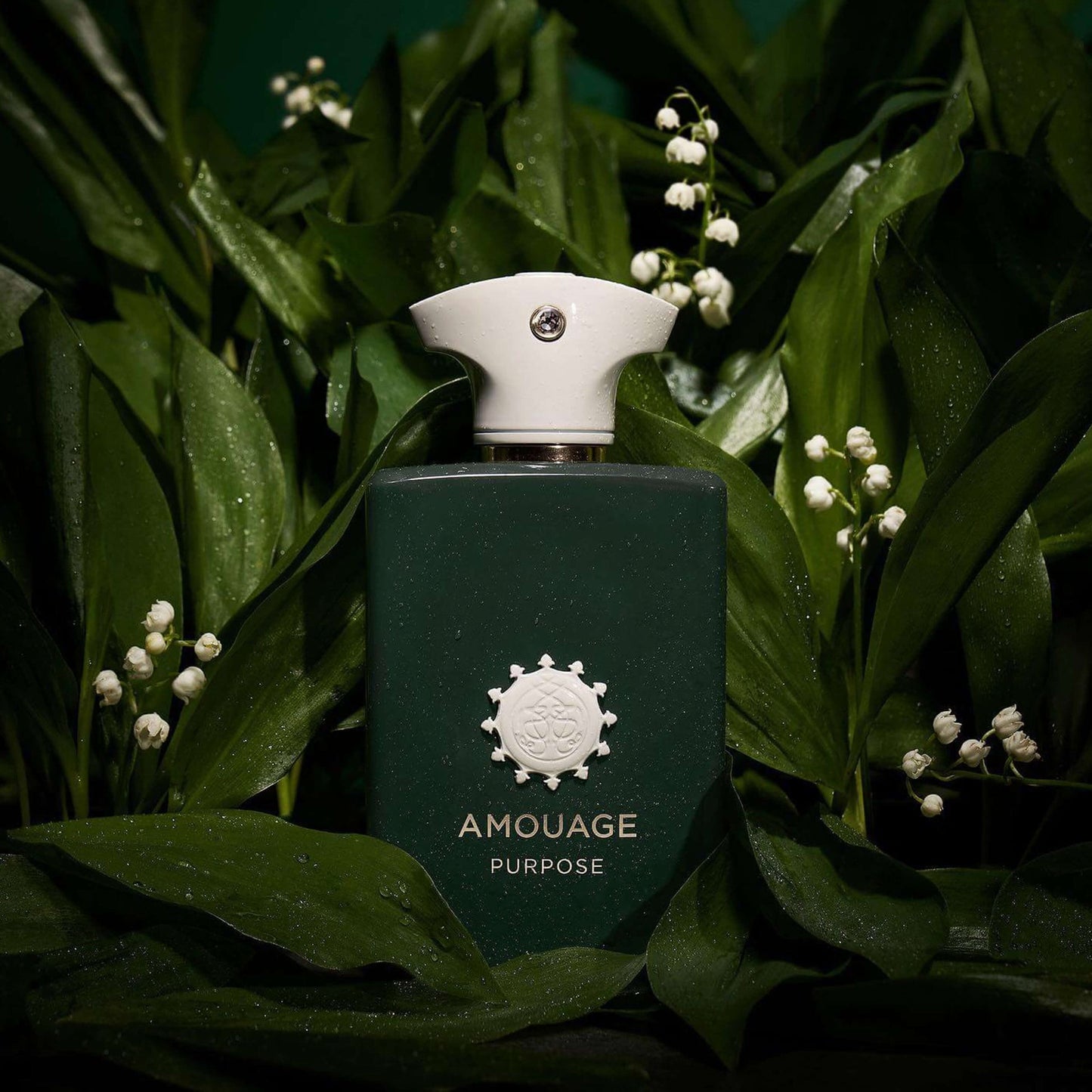 Amouage Purpose Eau De Parfum For Unisex