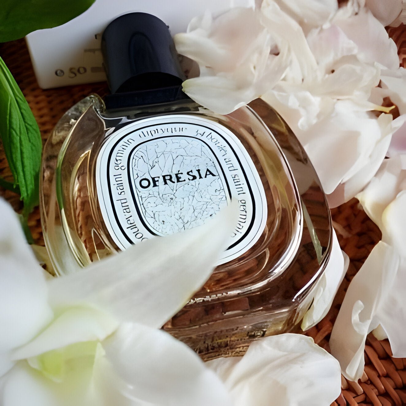 Diptyque Ofresia Eau De Toilette Spray (100Ml)