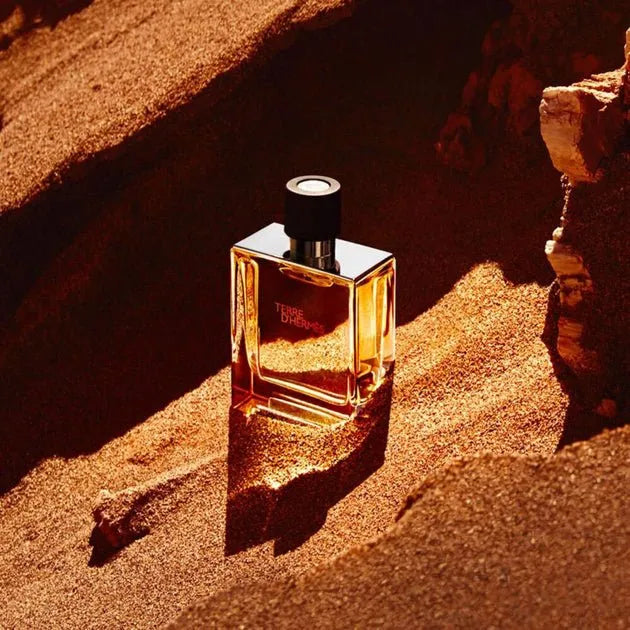 Hermes Terre D'hermes Eau de Toilette (50ml)