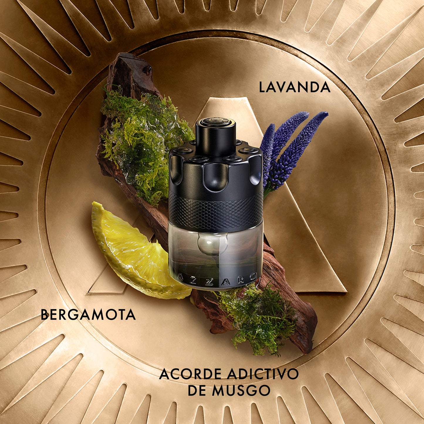 Azzaro The Most Wanted Eau de Toilette Intense Perfum (100 Ml)