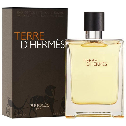 Hermès Terre d'Hermès Eau de Toilette (100ml)