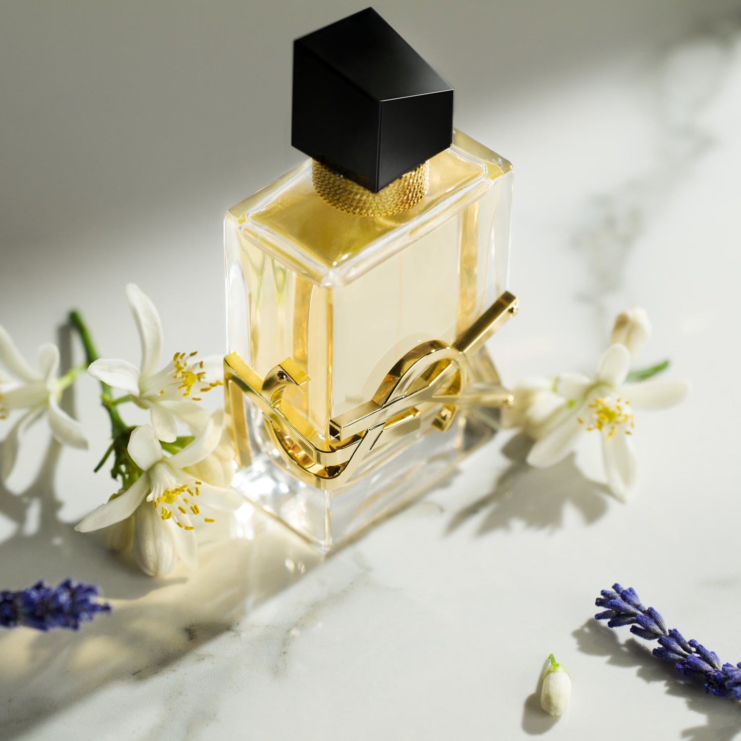 Yves Saint Laurent Libre Eau de Parfum (50ml)